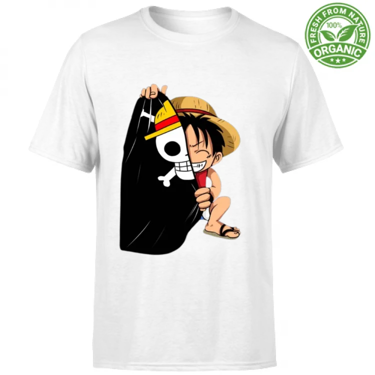 One Piece monkey d luffy collection