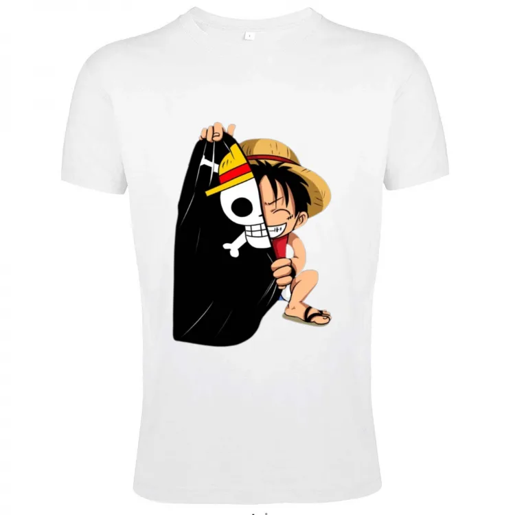 One Piece monkey d luffy collection