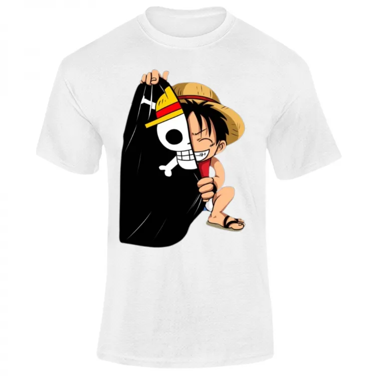 One Piece monkey d luffy collection