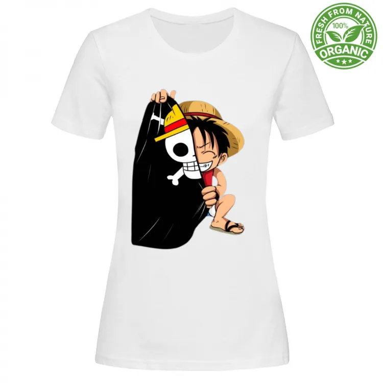 One Piece monkey d luffy collection