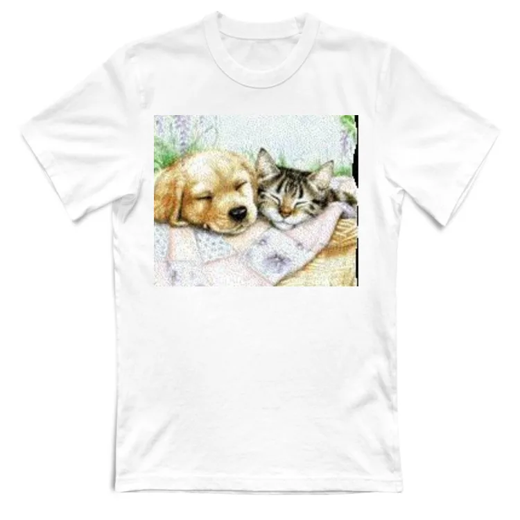 Cane e gatto che dormono