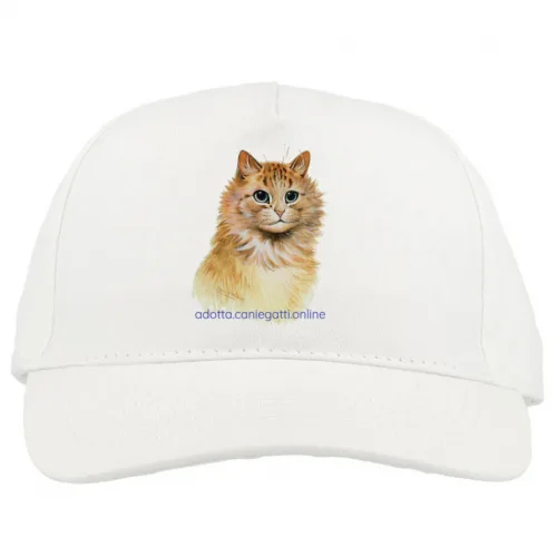 Baseball Caps