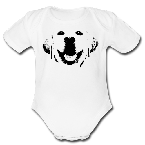 Body Bambino