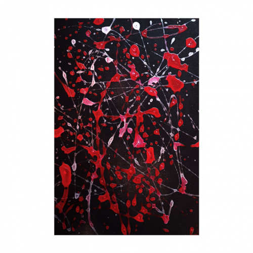 Canvas 20x30