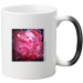 Magic Mug 15.00 &euro;