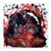 Poster 30x30 12.00 &euro;