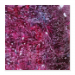 Poster 30x30 12.00 &euro;