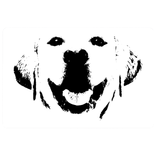 Zerbino