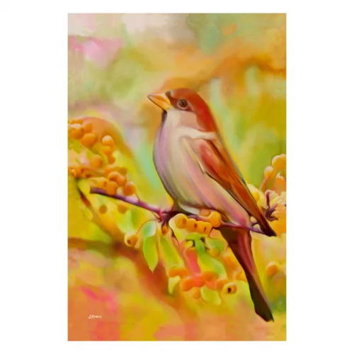 Canvas 40x60