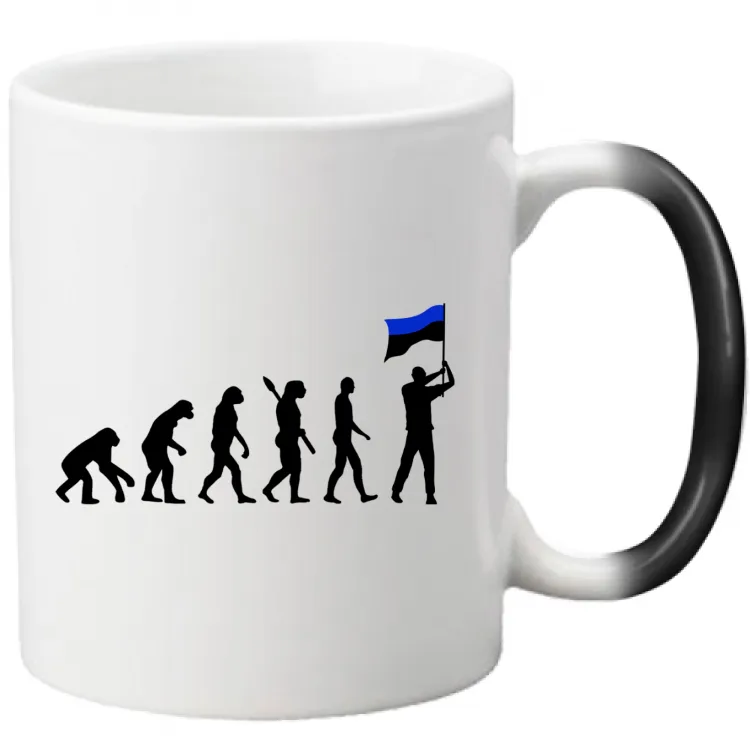 EVOLUZIONE INTER-TAZZA
