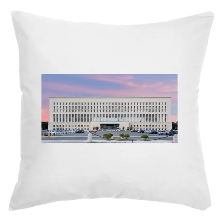 Farnesina in rosa (cuscino)