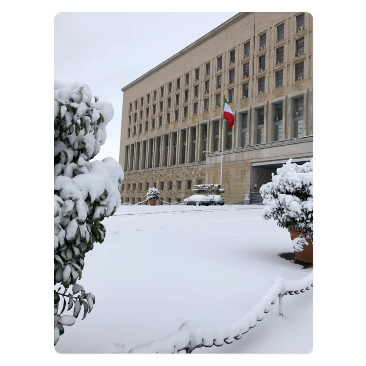Farnesina innevata metallo 30x40