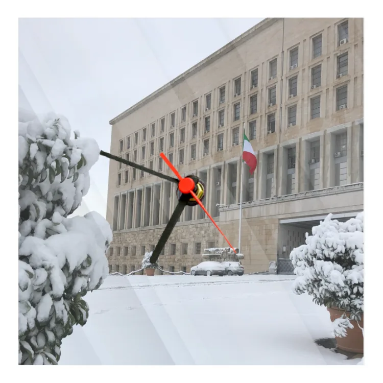 Farnesina innevata - orologio