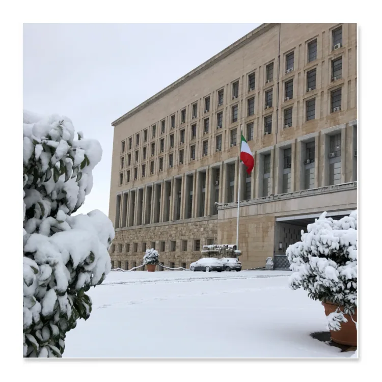 Farnesina innevata - poster