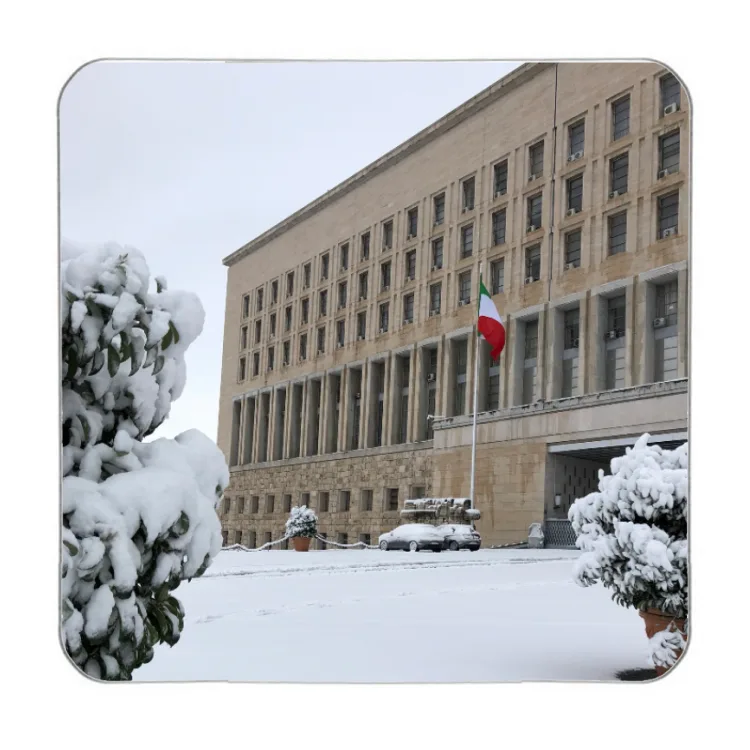 Farnesina innevata - magnete