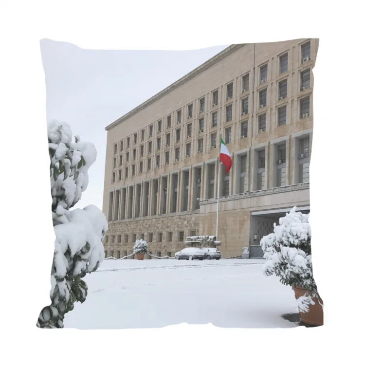 Farnesina innevata - cuscino