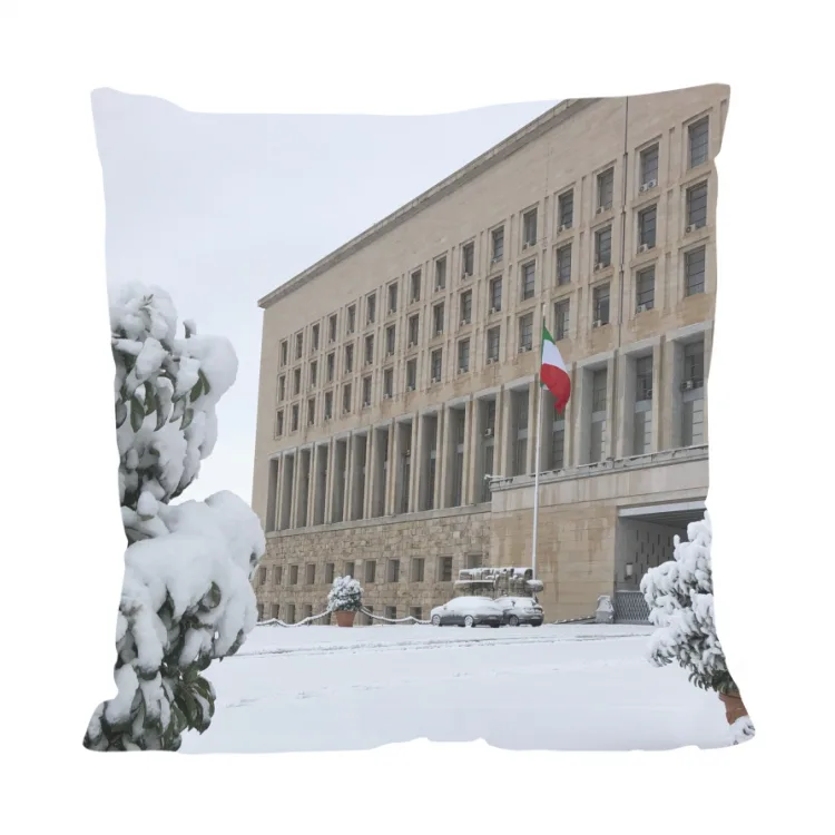Neve alla Farnesina - cuscino fronte retro