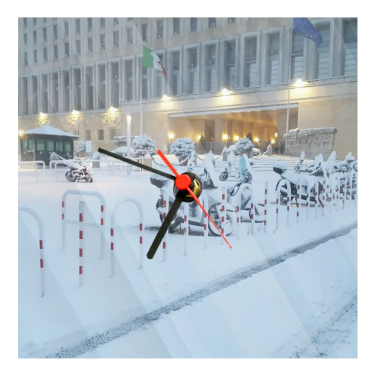 farnesina innevata