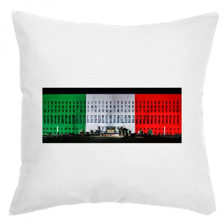 Farnesina tricolore (cuscino)