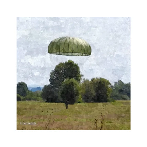 Canvas 20x20