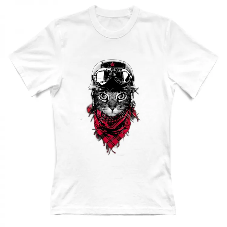 Gatto avventuriero