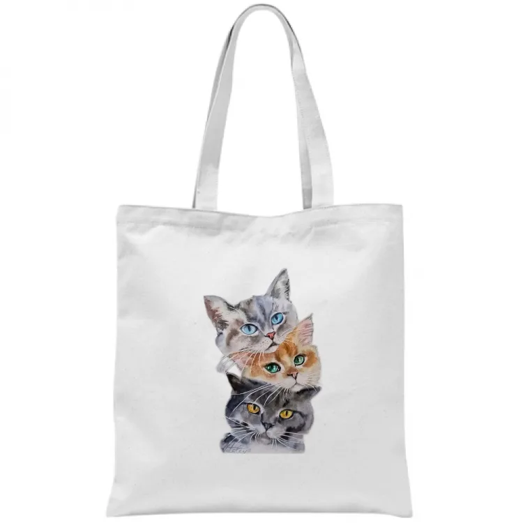3 gattini
