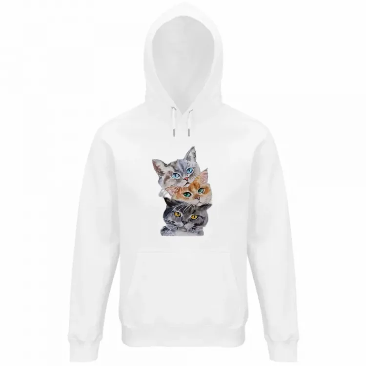 3 gattini