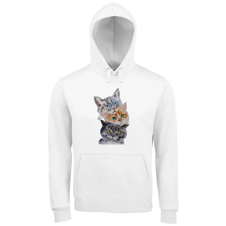 3 gattini