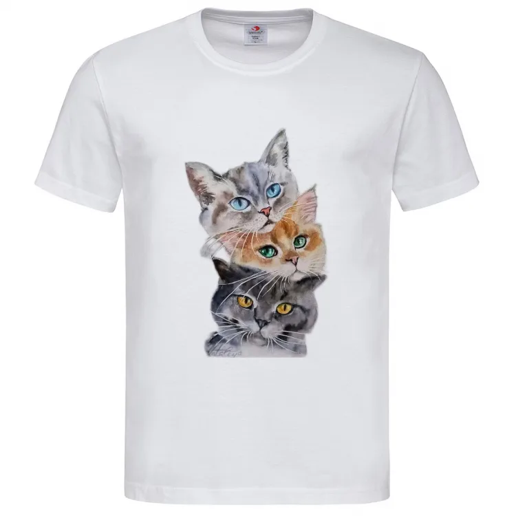 3 gattini