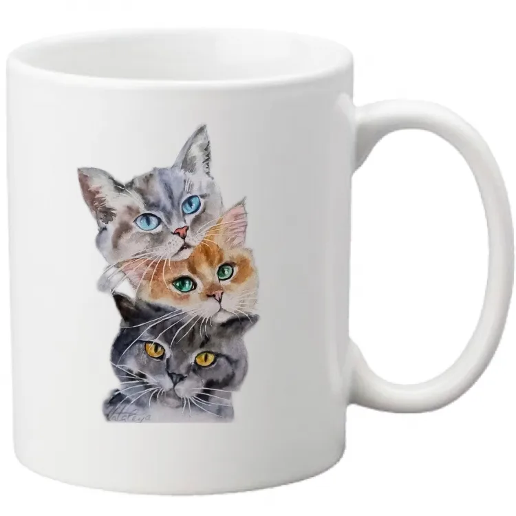 3 gattini