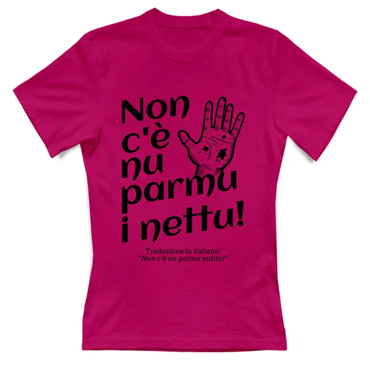 Non c'è nu parmu i nettu