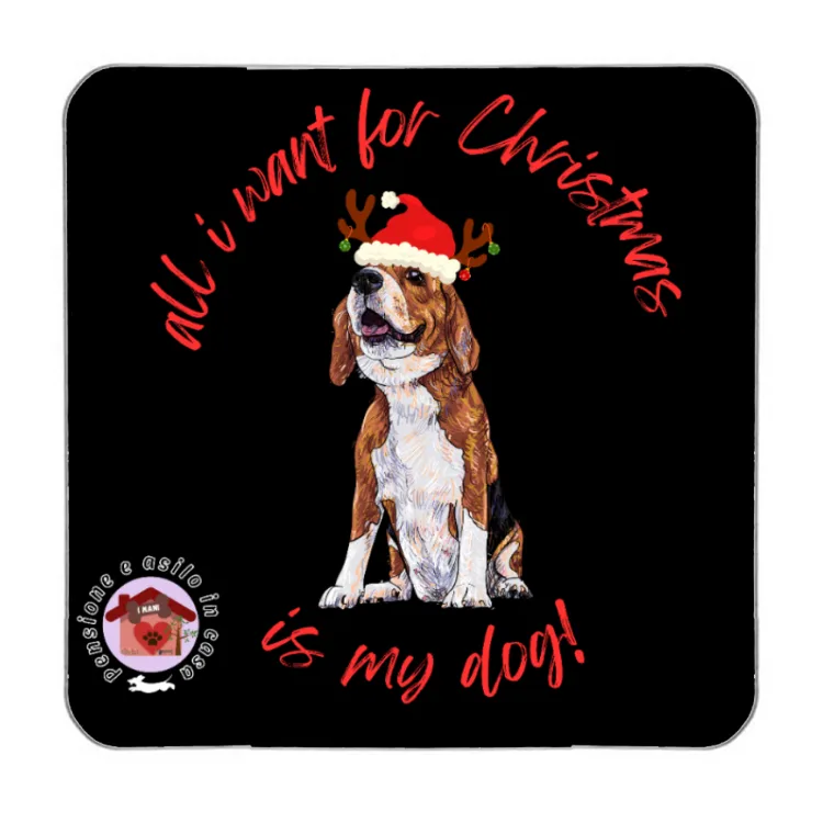 Calamita beagle