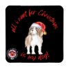 Calamita cavalier king