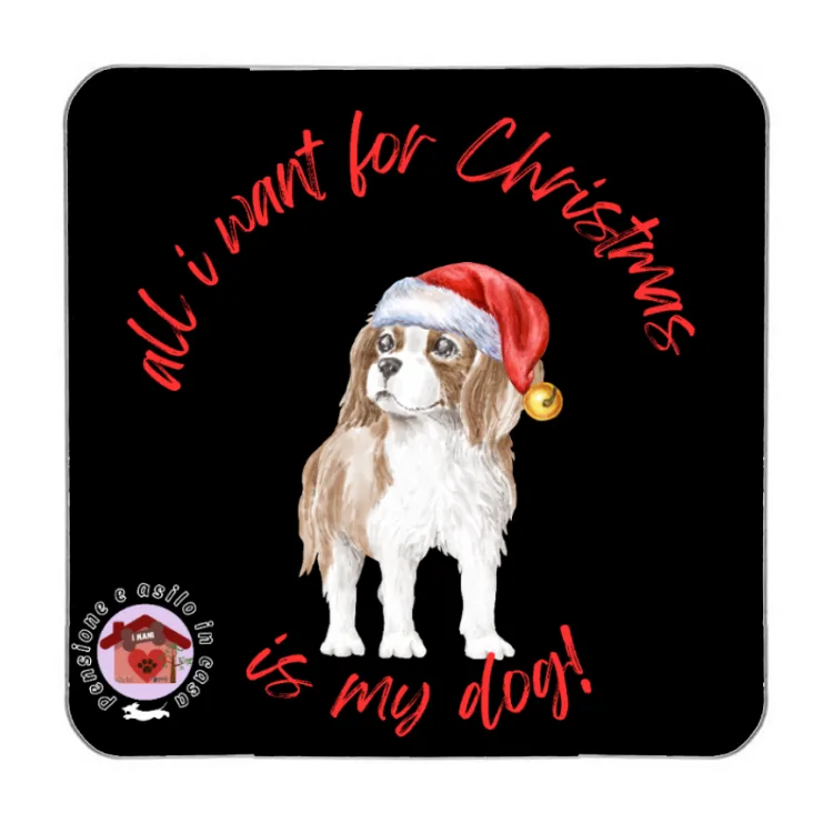 Calamita cavalier king
