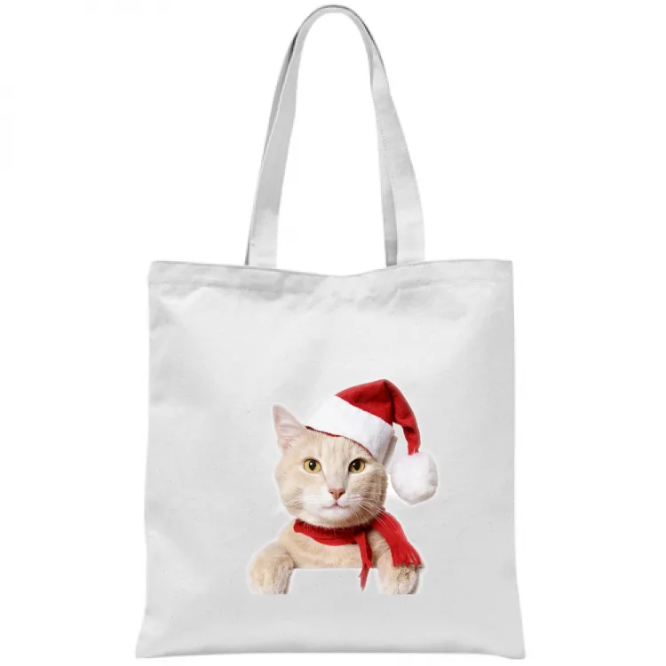 Gatto di Natale