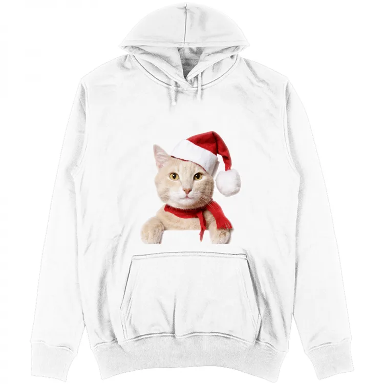 Gatto di Natale