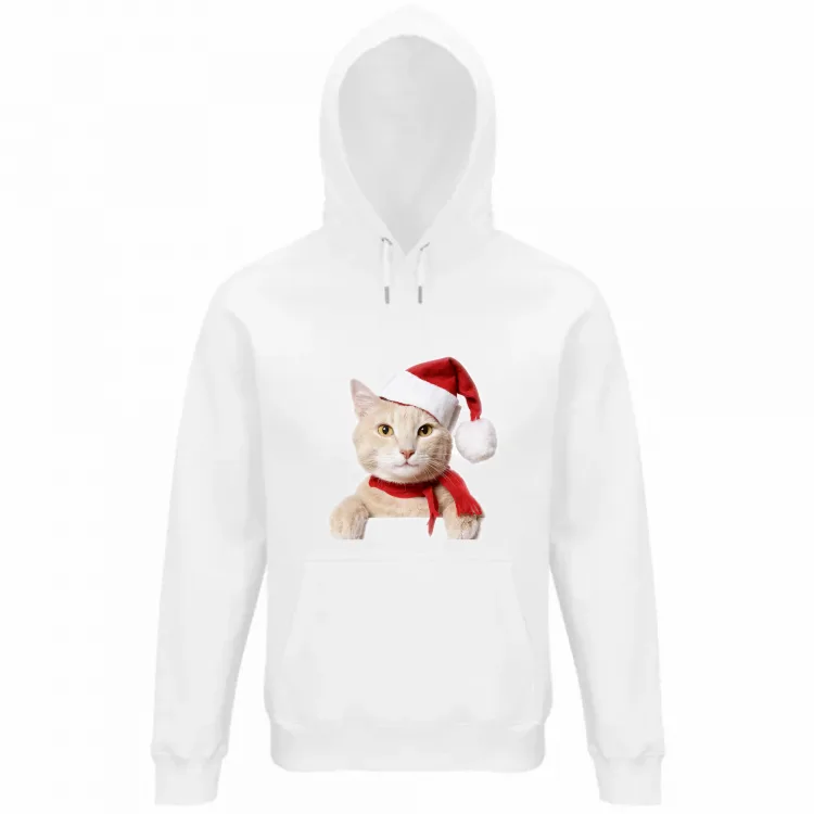 Gatto di Natale
