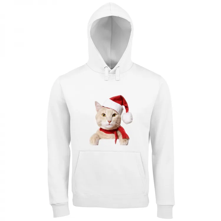 Gatto di Natale