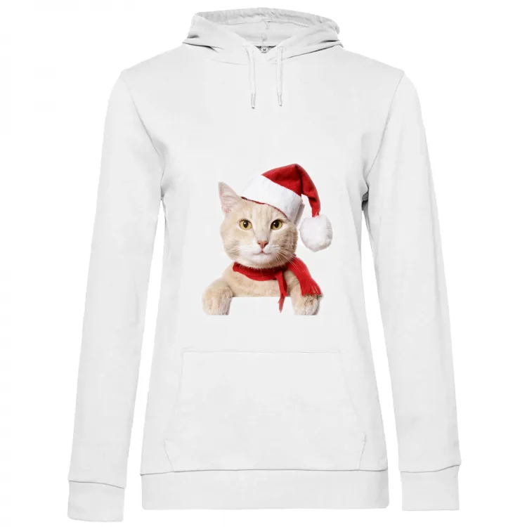 Gatto di Natale