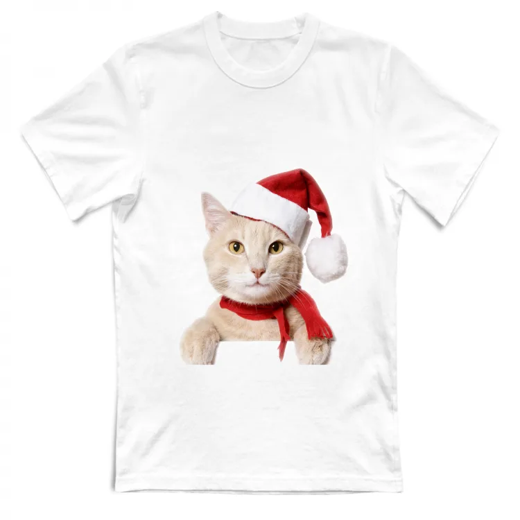 Gatto di Natale