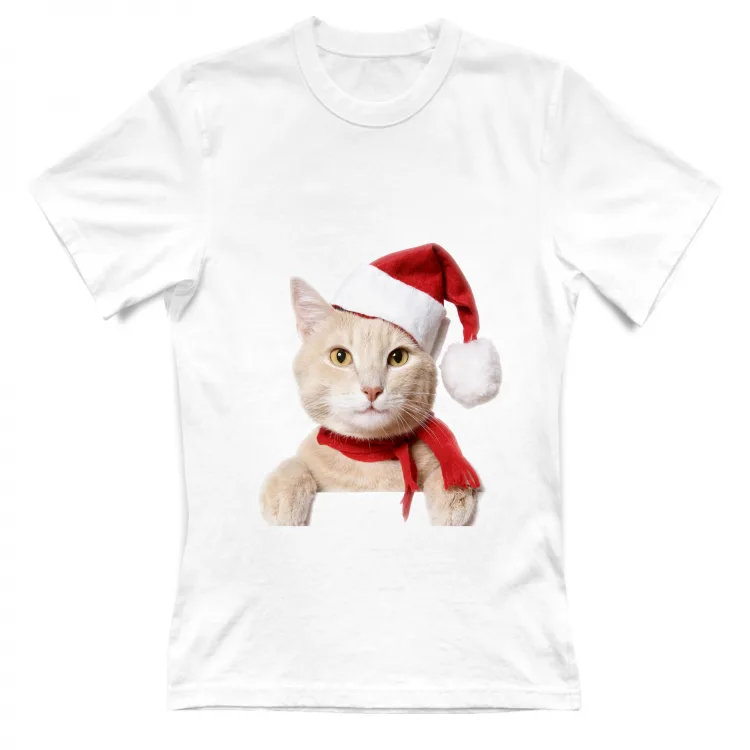 Gatto di Natale