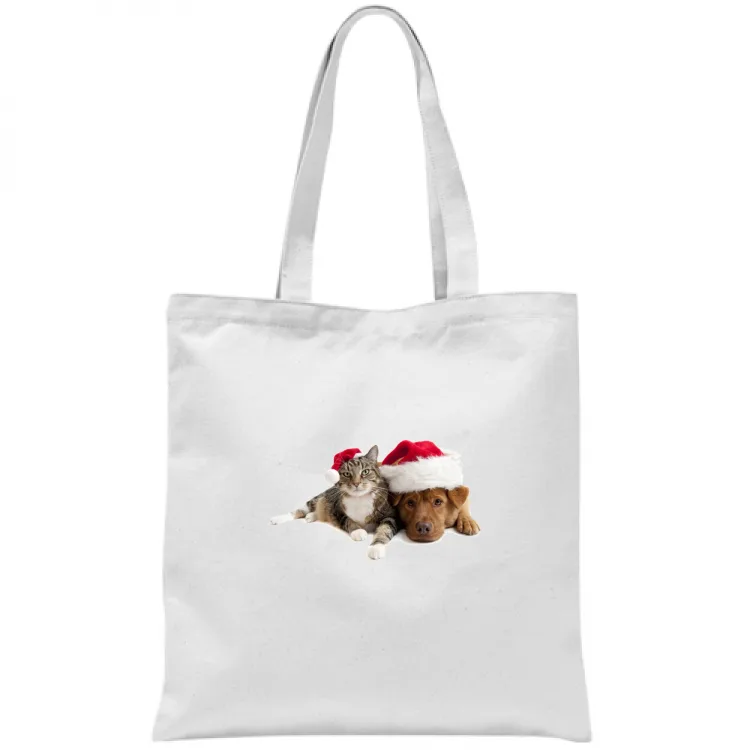 Cane e Gatto a Natale