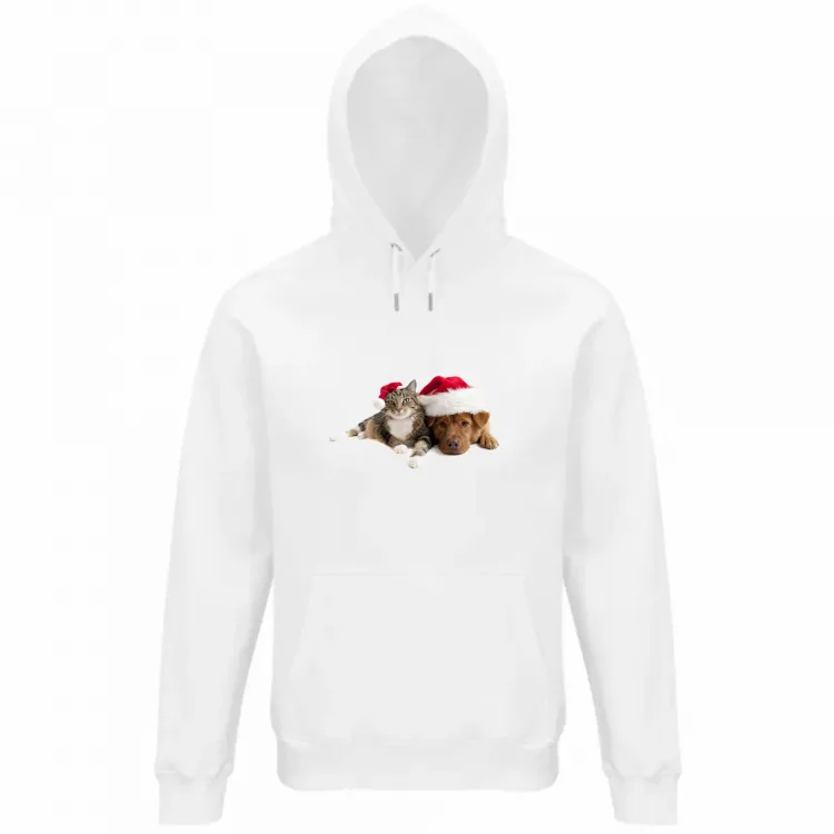 Cane e Gatto a Natale