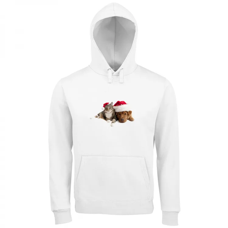 Cane e Gatto a Natale