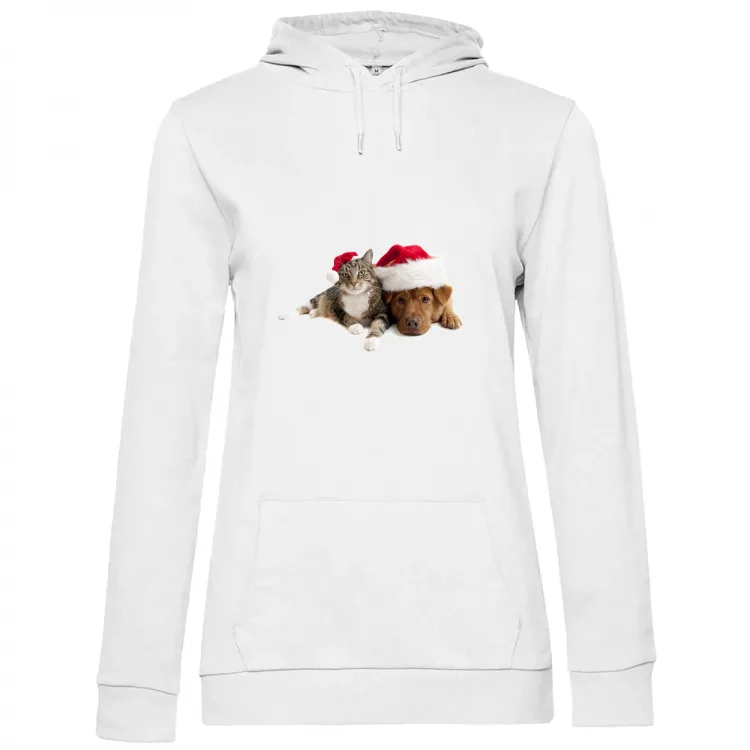 Cane e Gatto a Natale