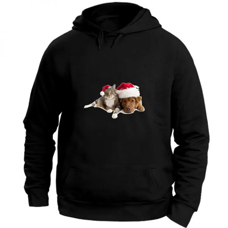 Cane e Gatto a Natale