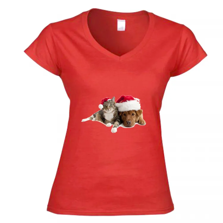 Cane e Gatto a Natale