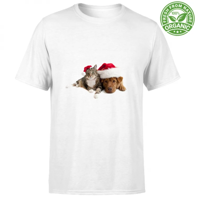 Cane e Gatto a Natale