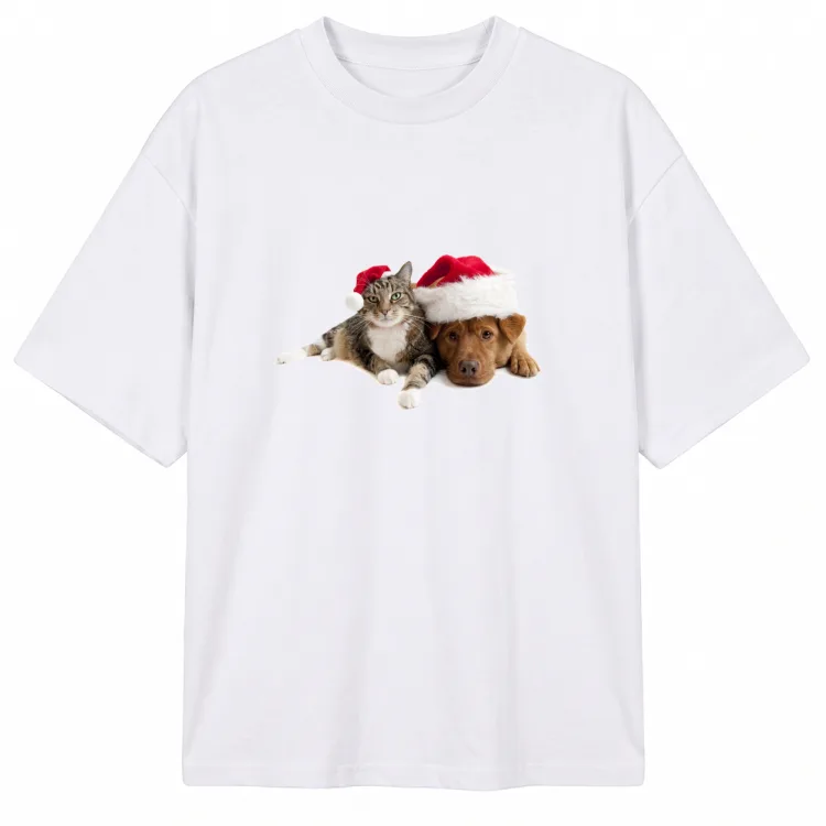 Cane e Gatto a Natale