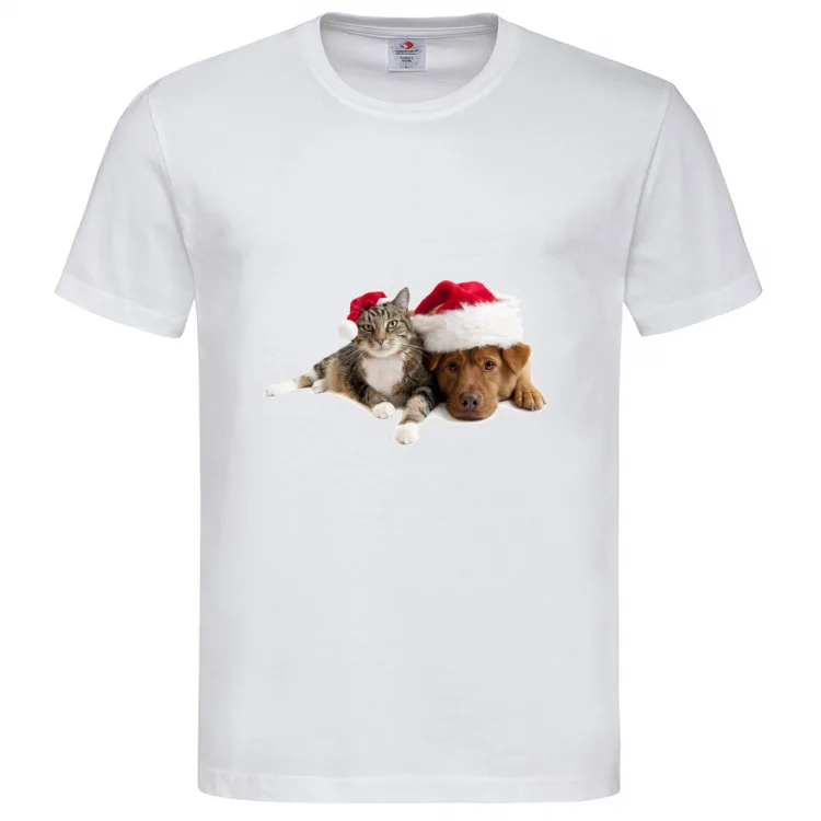 Cane e Gatto a Natale